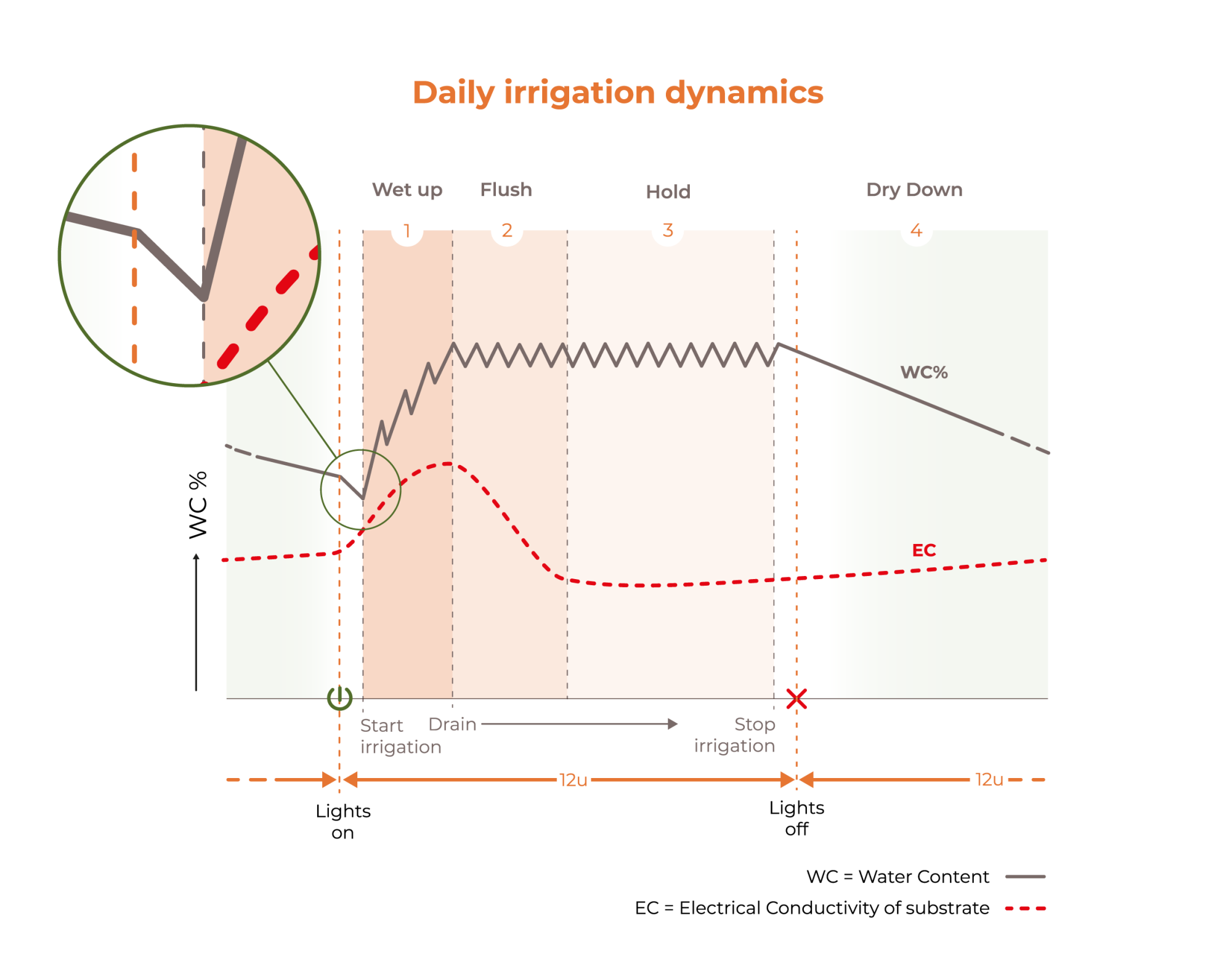 22088_a_cultiwool_irrigationdynamics_1920px[1]